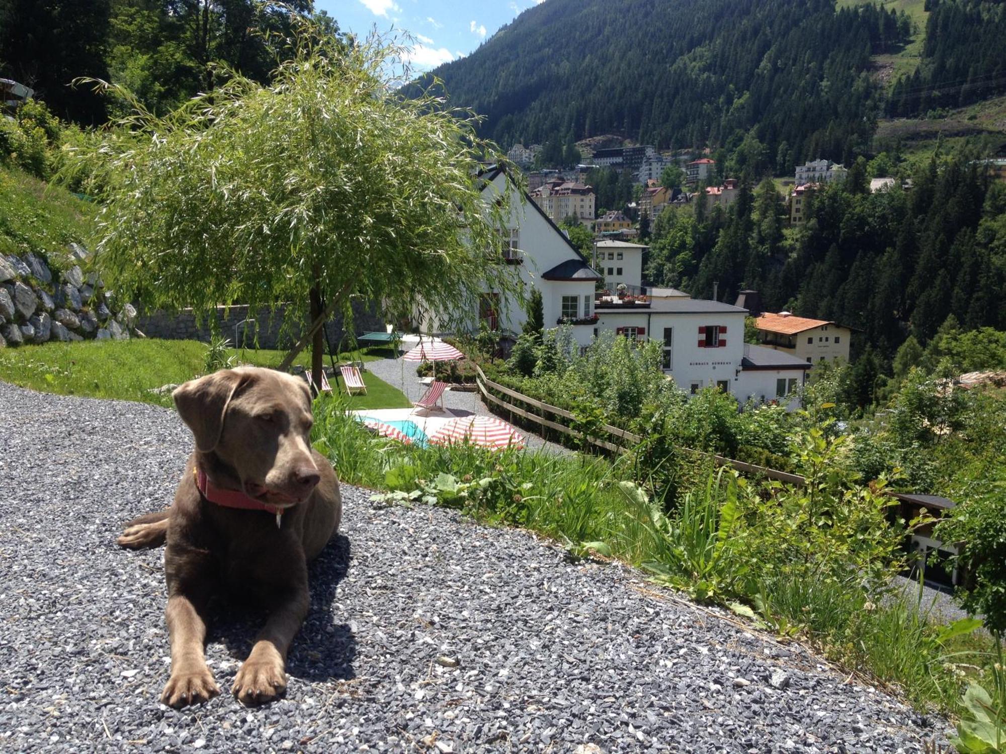 Behrens Apartment Bad Gastein